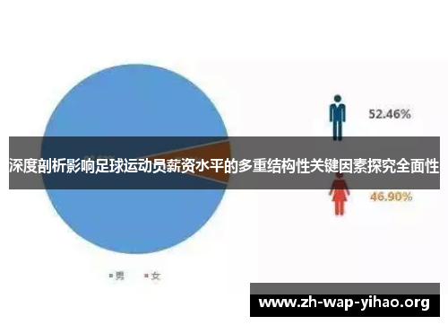 深度剖析影响足球运动员薪资水平的多重结构性关键因素探究全面性